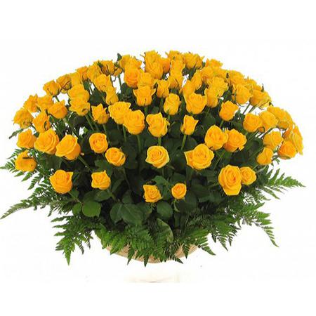 Корзина из 101 желтой розы 50 см «Голд амбишн»