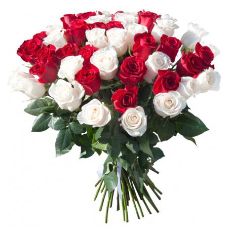 Букет из 51 красной и белой розы (40 см)
