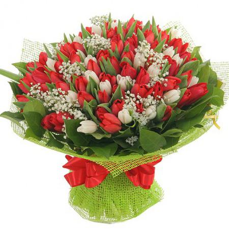 Букет из красных и белых тюльпанов «Фантазия» 101 шт.