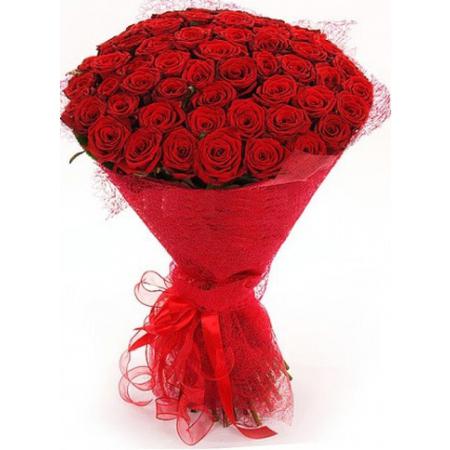 51 красная роза «Гран-при» 70 см.
