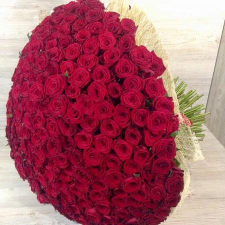 Букет из 301 красной розы (50см)